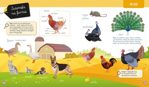 Wielka  ksiega przyrody srodki elibri 3